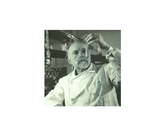 placeholder description