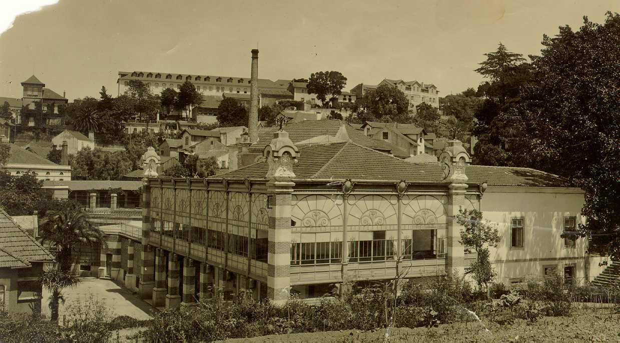 placeholder description