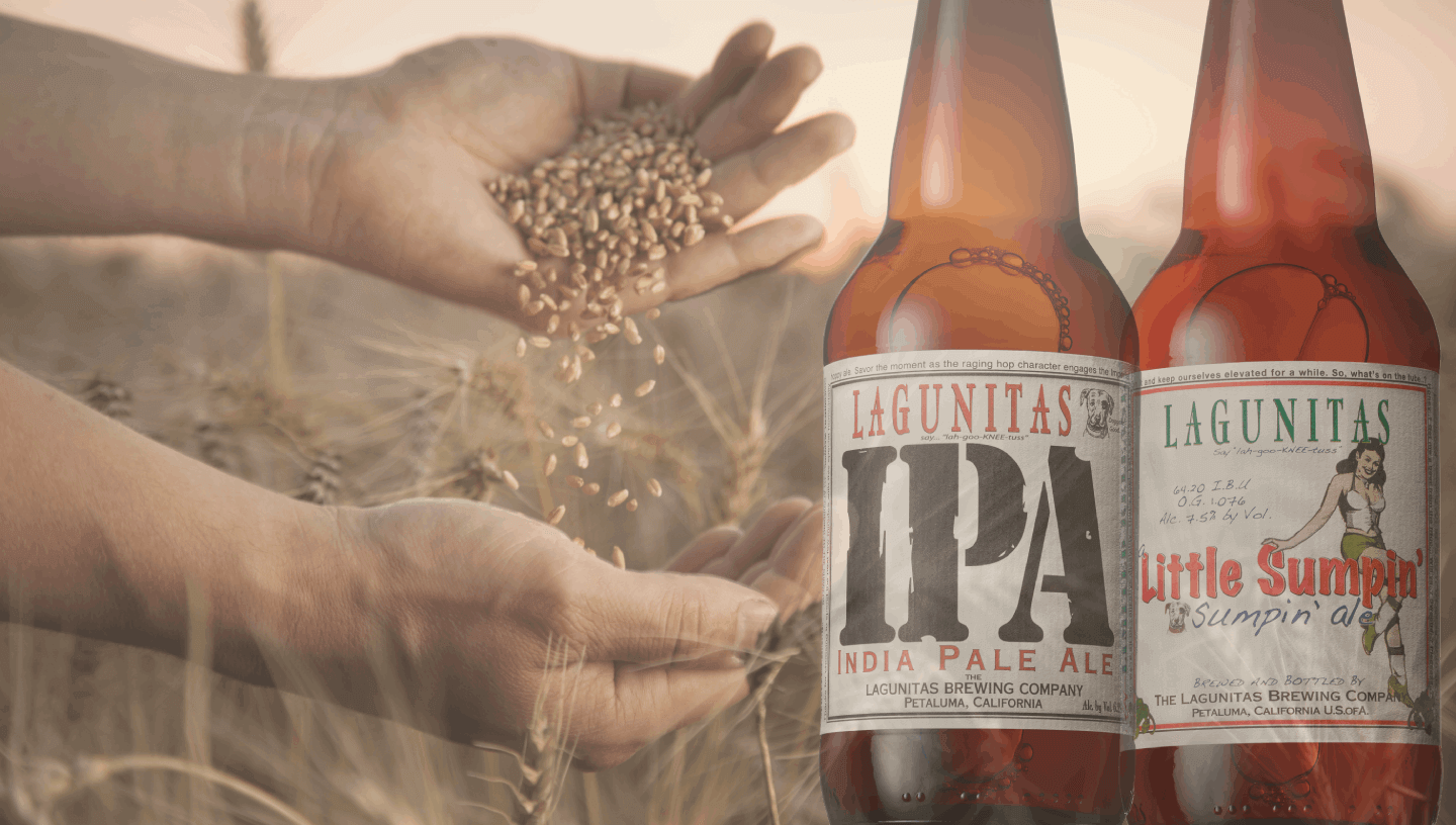 Lagunitas (1)