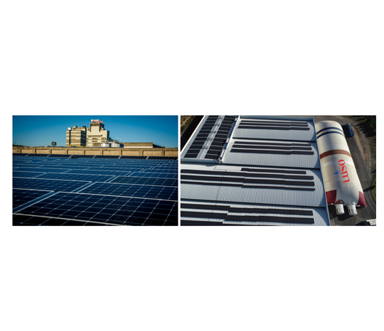 placeholder description